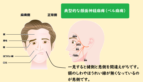 シャワーと入浴