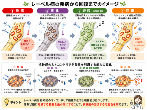 ChatGPT Image 2026年9月5日 09_01_08.png