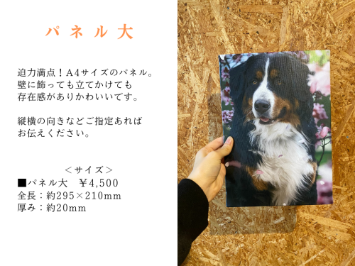 商品説明_パネル大.png