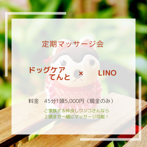 定期マッサージ会＠金澤園