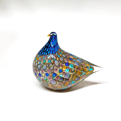 大磯市に参加します