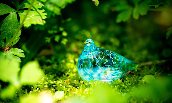 カミイチに参加します