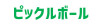 ピックルボール.jpg