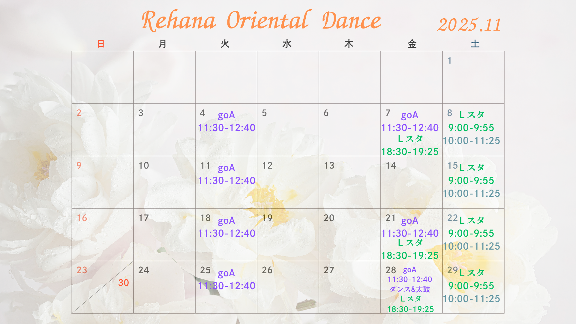 11月ベリーダンスレッスンスケジュール