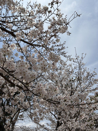 【〈アタッチマンスタジオ〉クラスから〈Rielat リエラ〉クラス日曜日への振替】