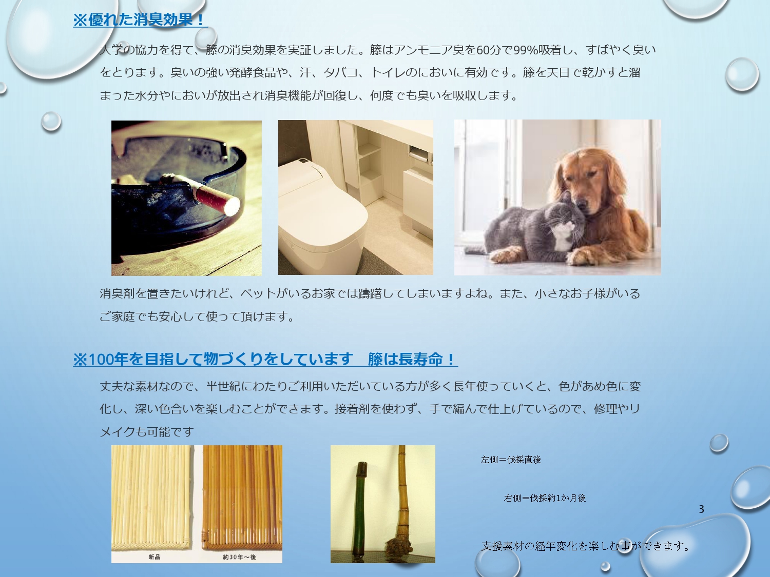 エコロジー家具　籐素材の魅力・・2020.2.29_page-0003.jpg