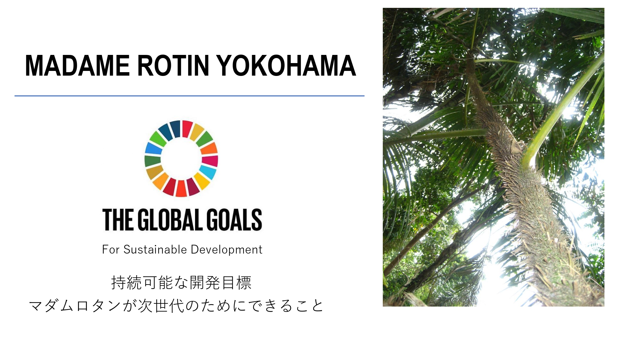 SDGs of Madame Rotin2_page-0001.jpg