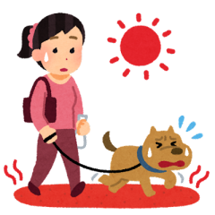 pet_sanpo_summer_atsui.png