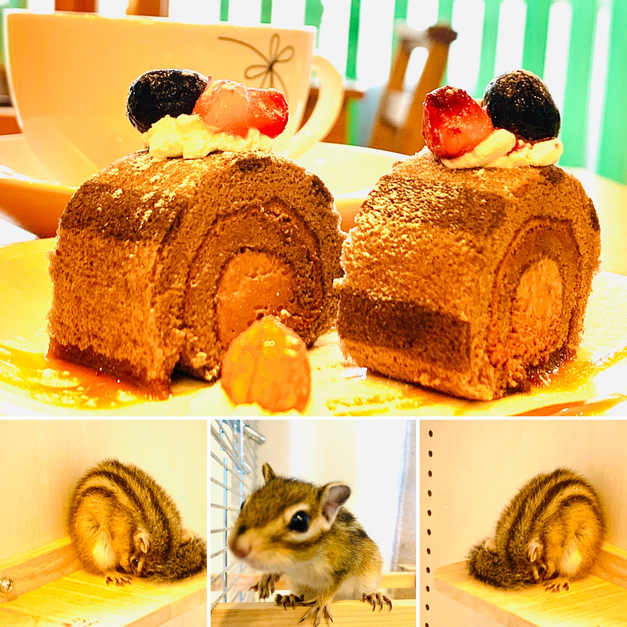 リスさんロールケーキ
