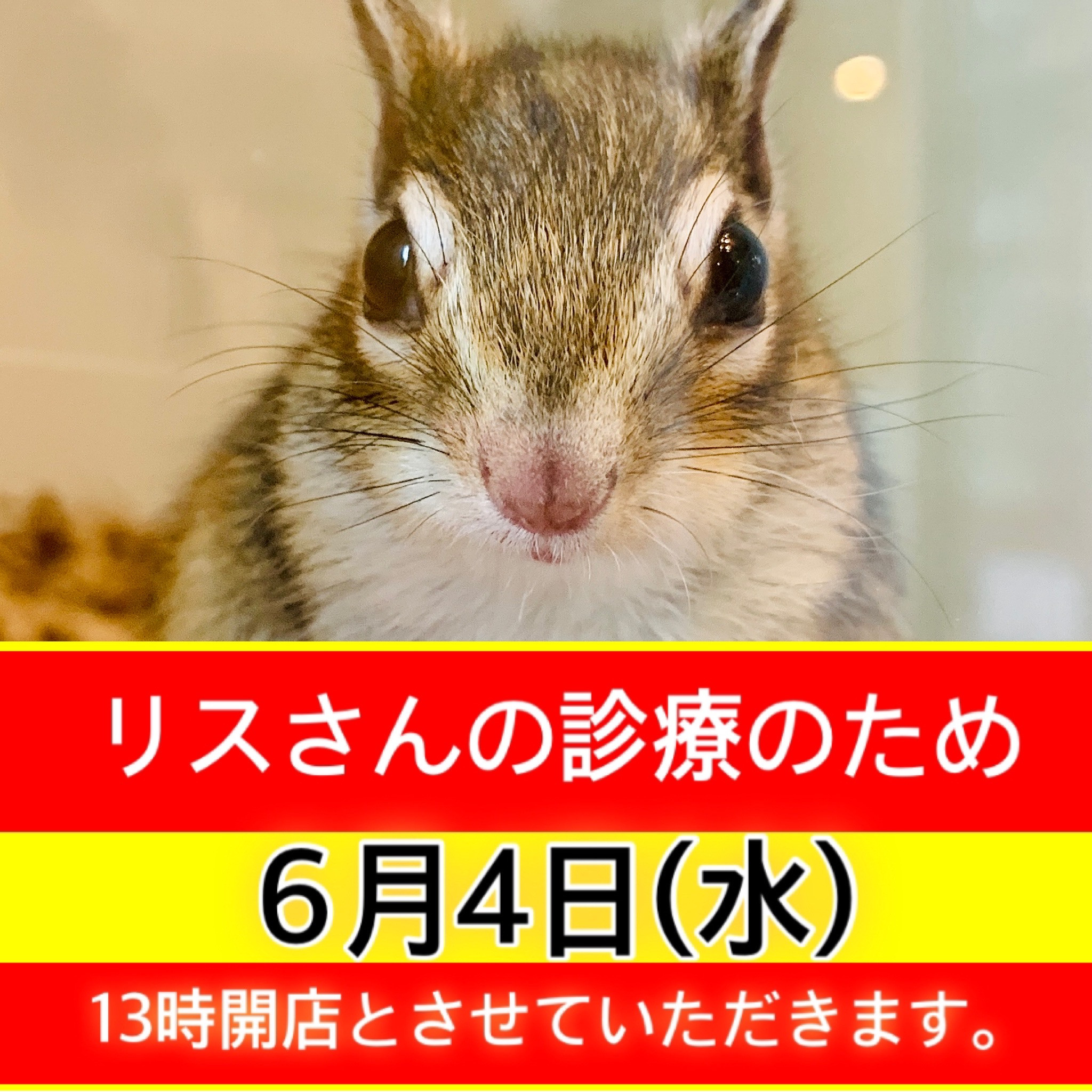 6月4日(水)は13時スタート