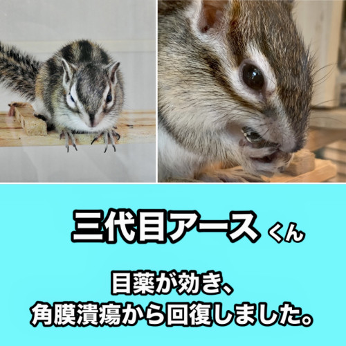 E3EFB38C-8D0B-439A-A624-908378079875.jpg