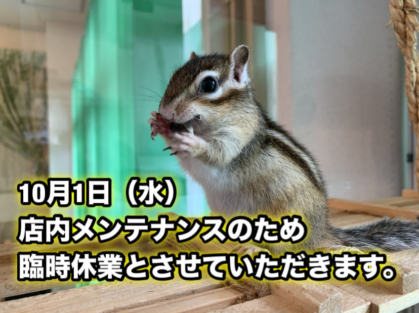 10月1日　臨時休業