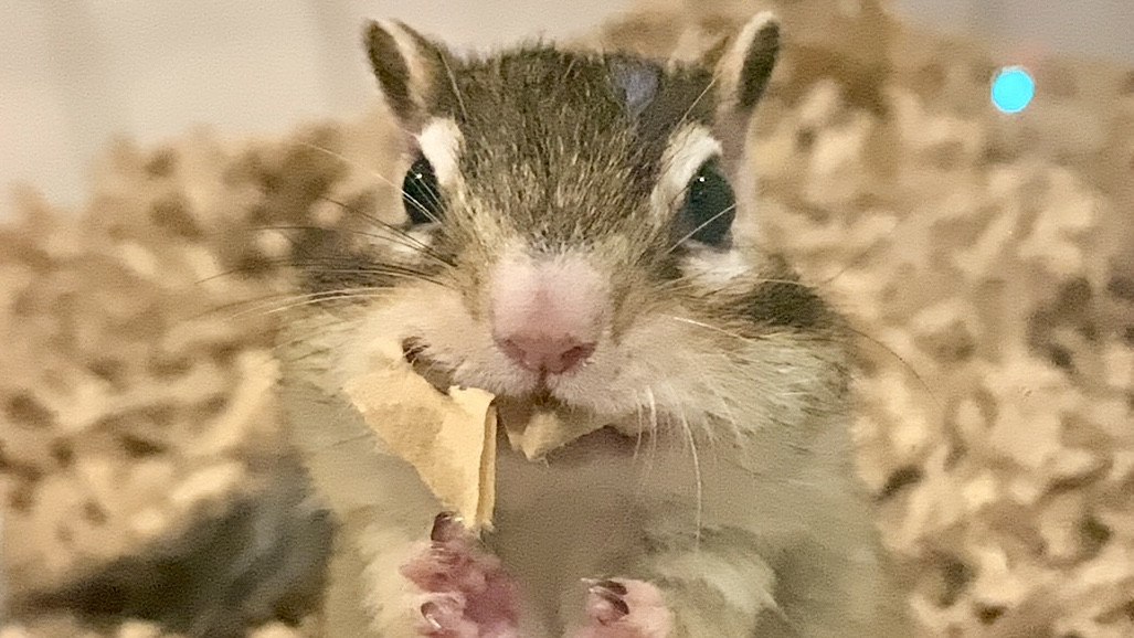 11月15日(土) 11月16日(日)のご予約状況