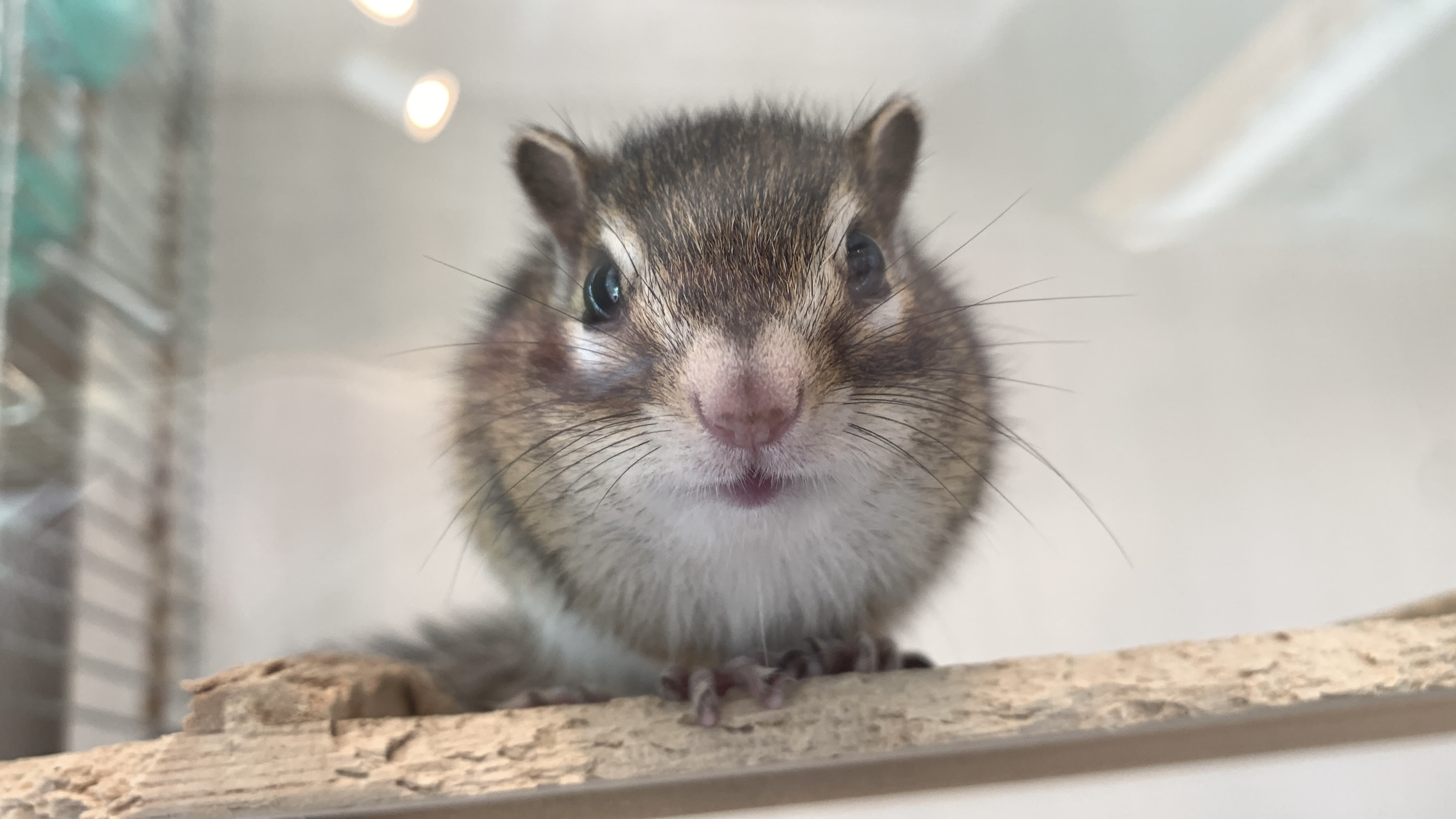 11月29日(土) 11月30日(日)のご予約状況