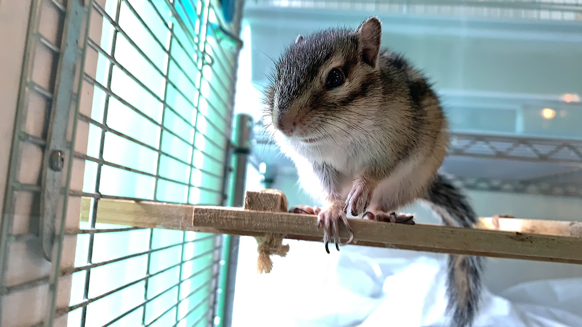 12月4日(木)臨時休業とさせていただきます
