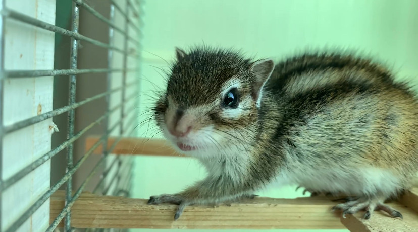 12月6日(土) 12月7日(日)のご予約状況