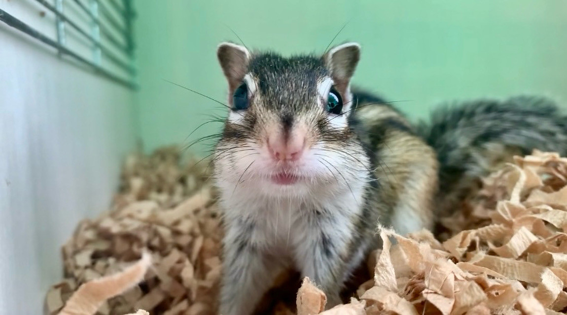 12月17日(水)午前中は満員御礼