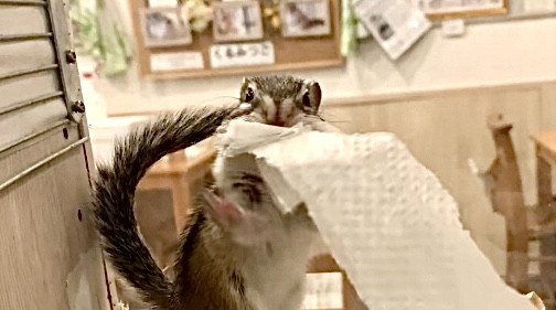 12月20日(土) 12月21日(日)のご予約状況