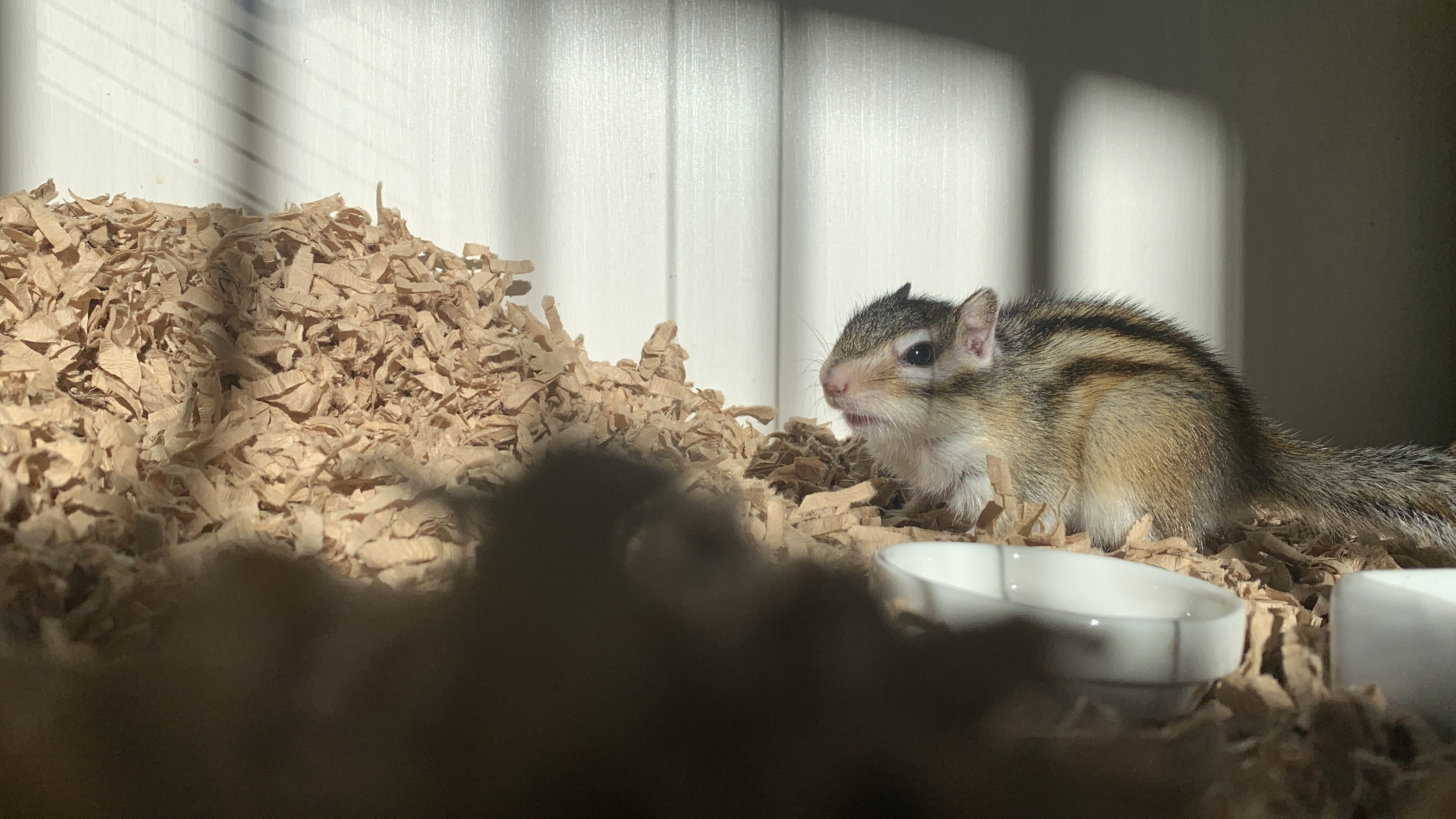 1月17日(土) 1月18日(日) のご予約状況