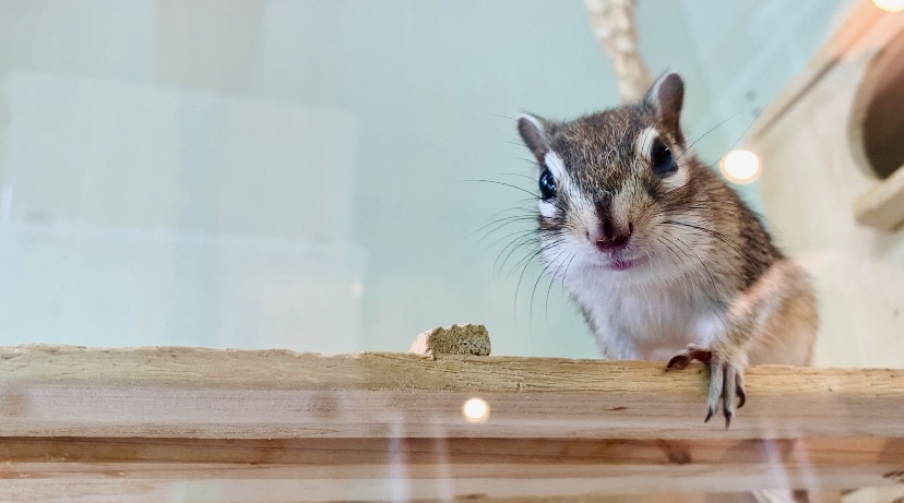 1月24日(土) 1月25日(日) のご予約状況