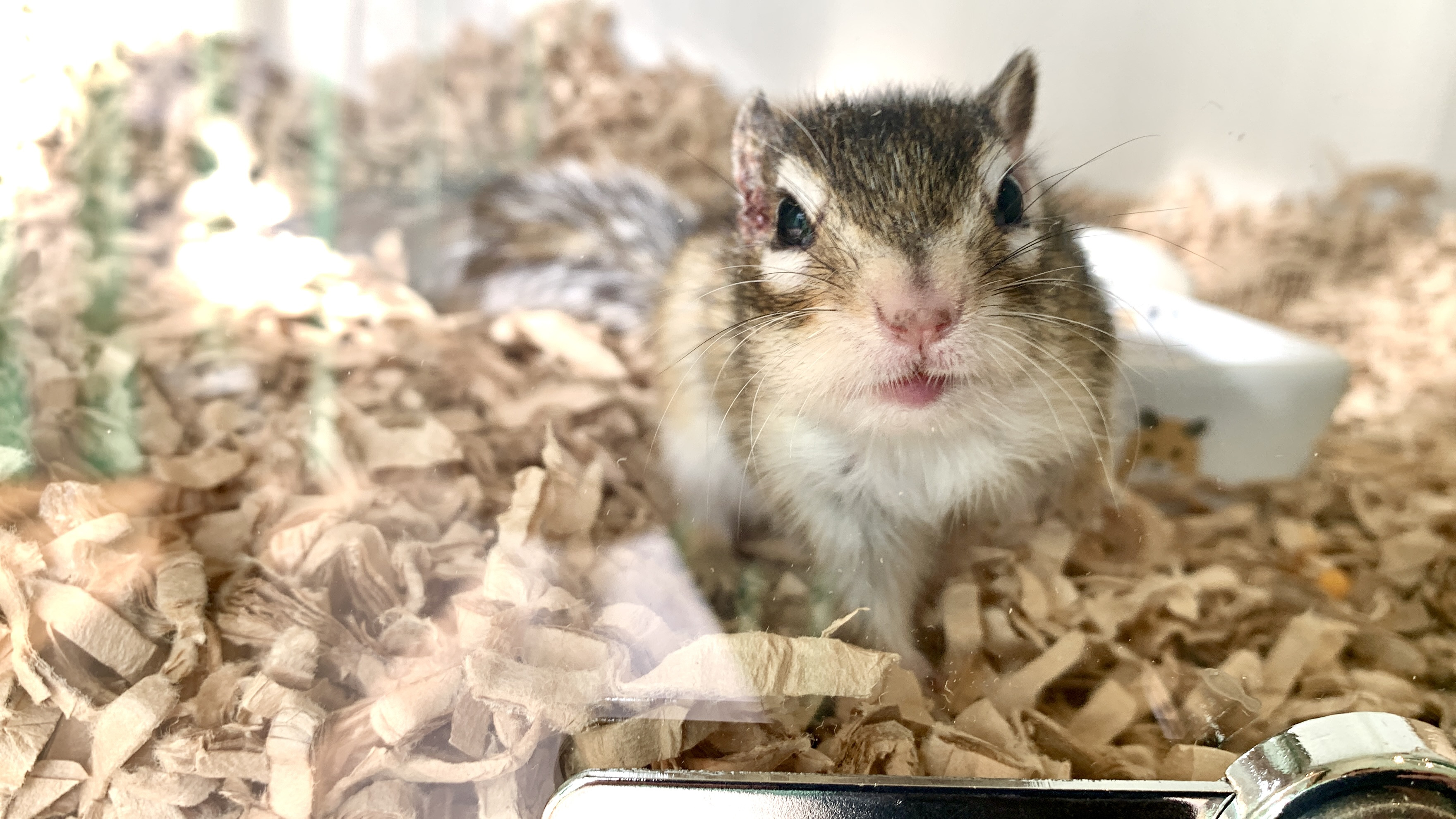 1月23日(金)のご予約状況