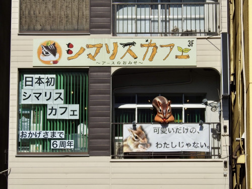 ご入場者特典配布、６周年記念グッズのご案内