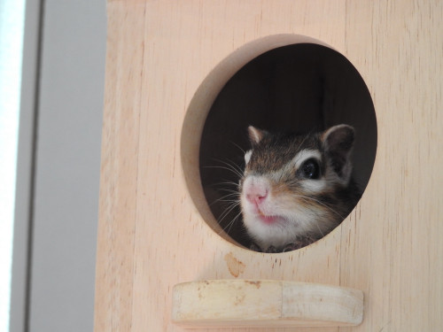 2月11日(水)・祝のご予約状況