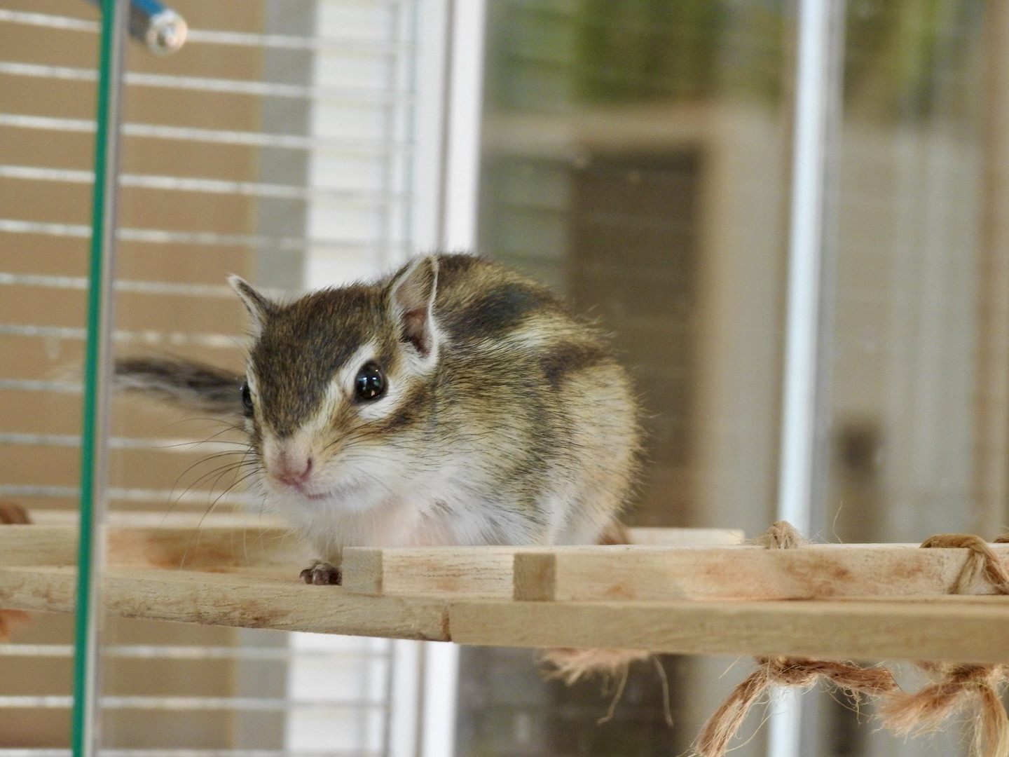 2月14日(土) 2月15日(日)のご予約状況