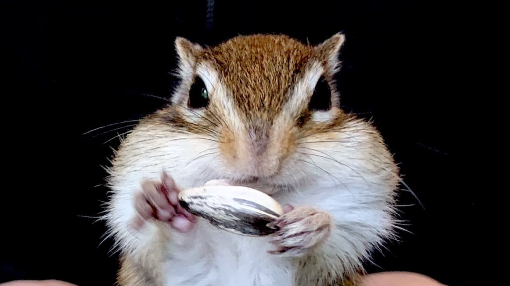 3月7日(土) 3月8日(日)のご予約状況