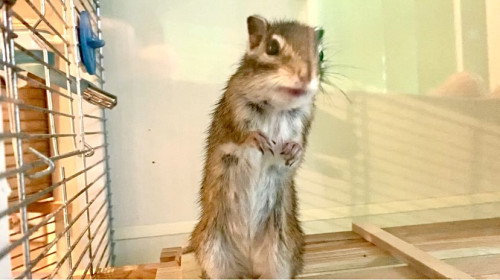 3月14日(土) 3月15日(日)のご予約状況