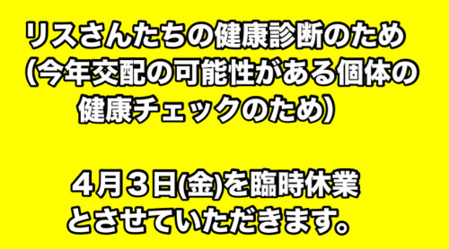 4月3日(金)は臨時休業