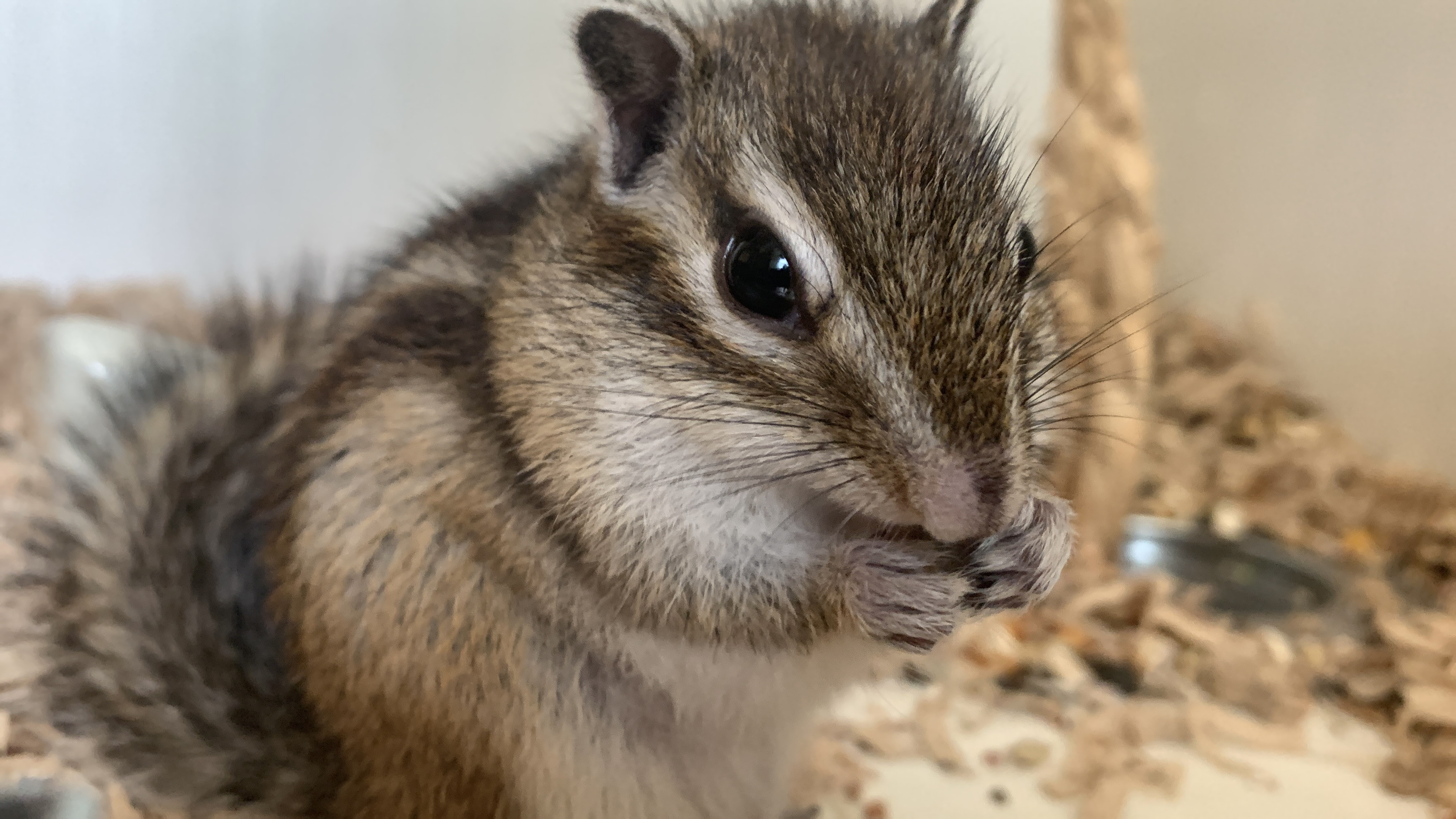 4月18日(土) 4月19日(日)のご予約状況