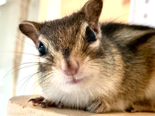 4月25日(土)4月26日(日)のご予約状況