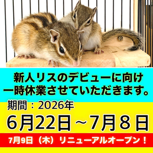 7A2DADC1-357F-4045-848E-E8D1346AFCC8.jpg