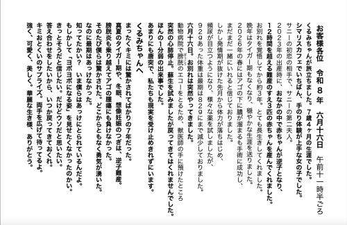 スクリーンショット 2026-06-16 21.14.29.png