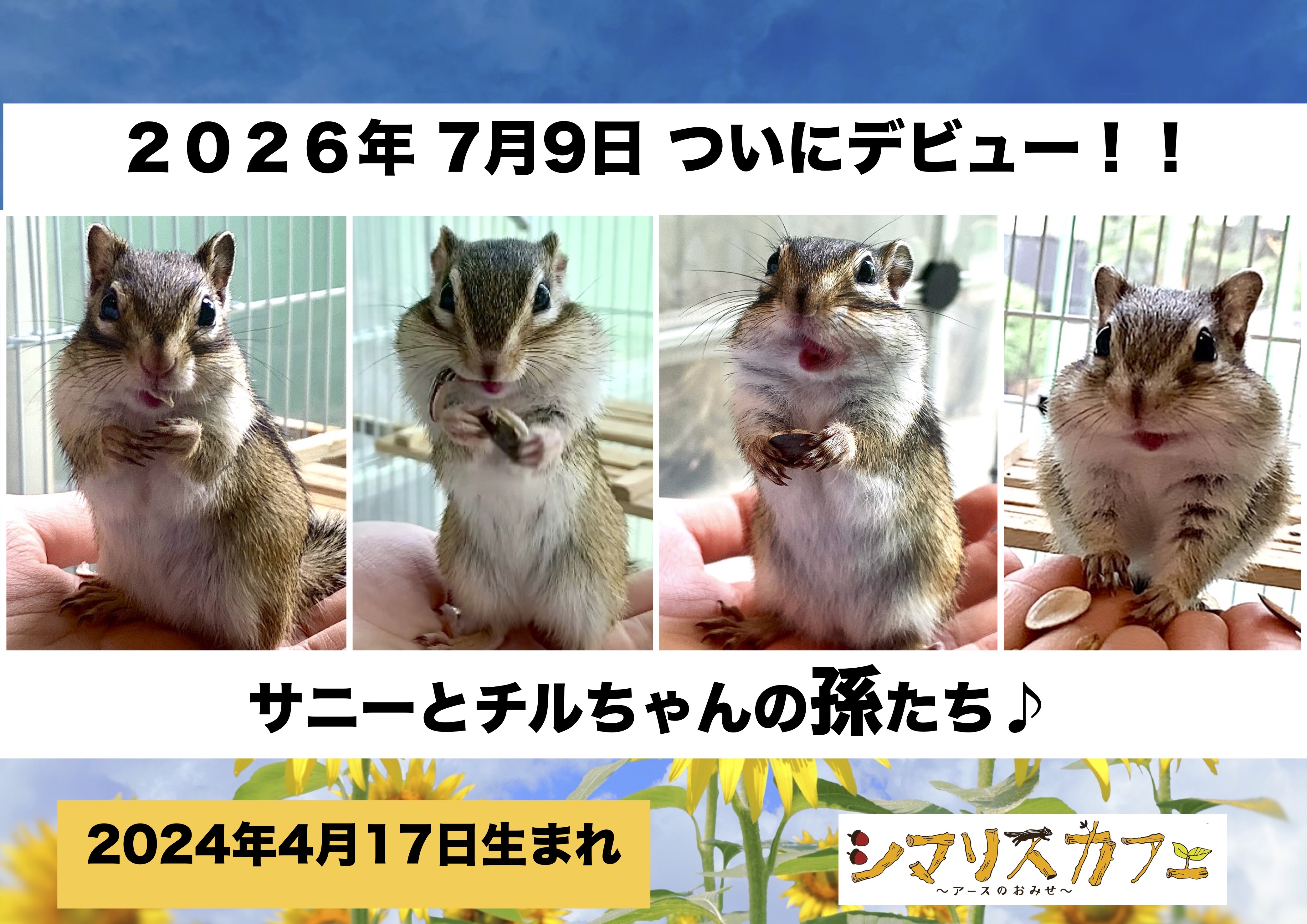 ７月11日(土) 7月12日(日) のご予約状況
