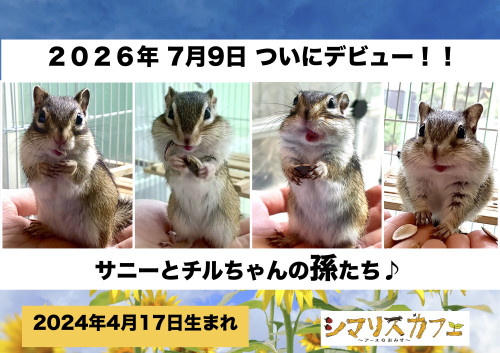 ７月11日(土) 7月12日(日) のご予約状況