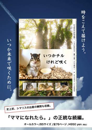 いつチルポスター.jpg