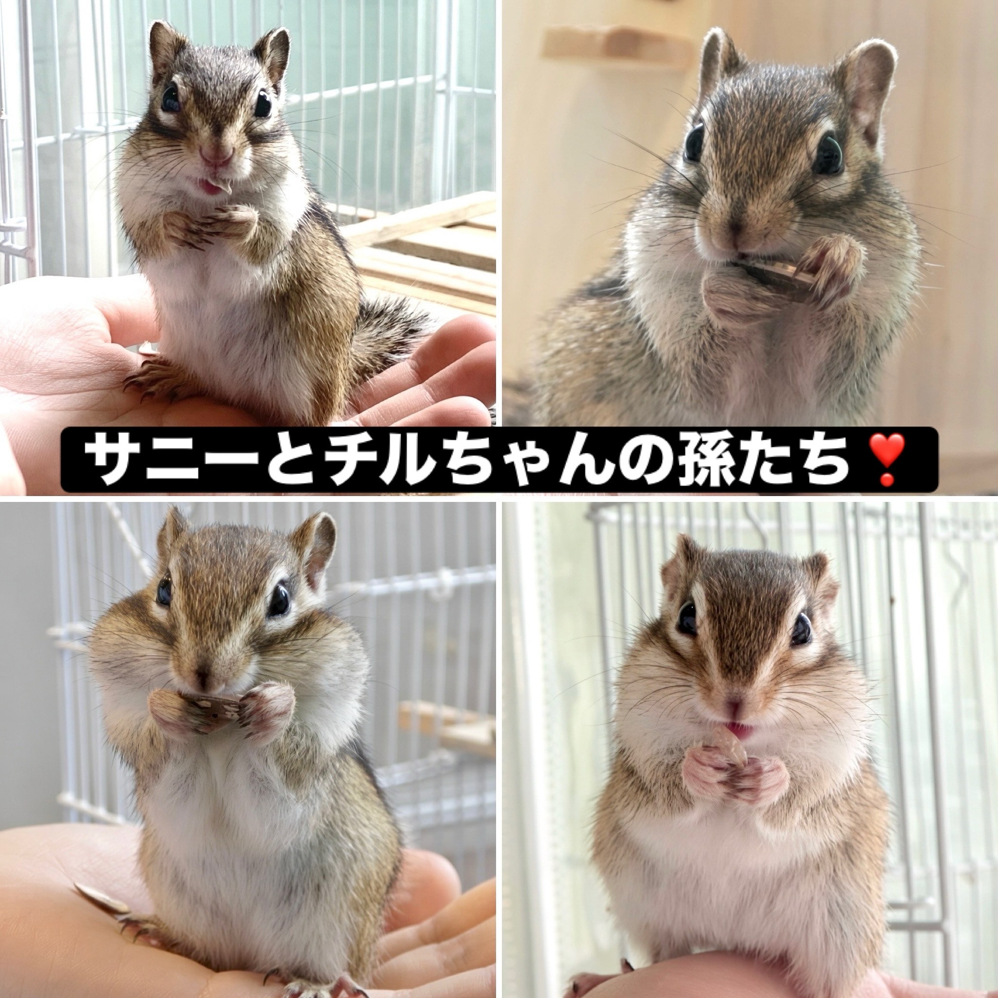 8月19日(水)〜8月23日（日）のご予約状況