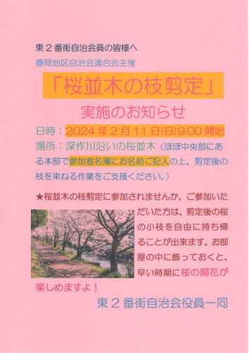 2024.2桜並木枝剪定告知チラシ.JPG
