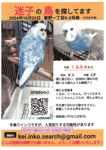 2024.11インコ捜索ポスター.JPG