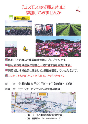 2026.08コスモス種まき.jpg