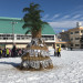 BC102D84-EBA3-4A87-BE22-78CE603E3160.jpeg