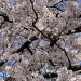 IMG_3176.jpeg
