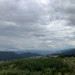 IMG_3477.jpeg