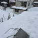 IMG_3673.jpeg