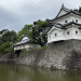 IMG_4054.jpeg