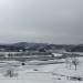 IMG_5030.jpeg