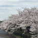 IMG_5076.jpeg
