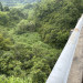 IMG_5296.jpeg